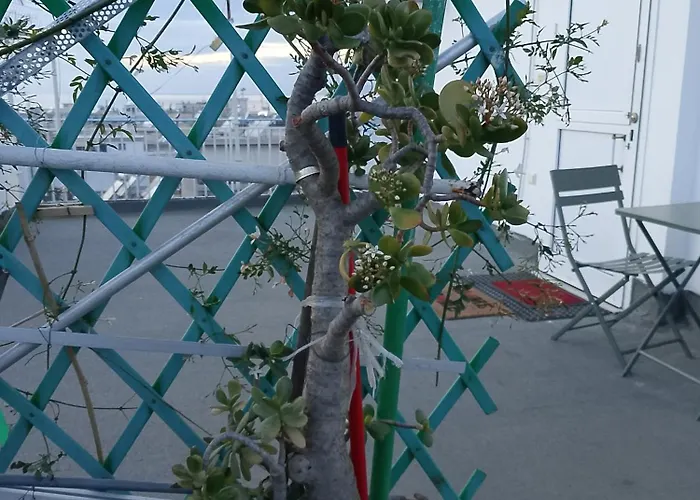 아파트 Sea View Nest 파트라