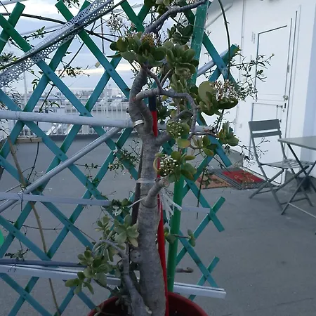 Daire Sea View Nest Patras